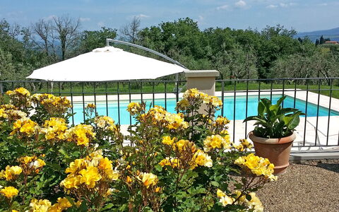 Villa Gaville: Blume, Garten, Pflanze, Botanik, Gelb, Strauch, Gazebo, Überdachung, Botanischer Garten, Frühling