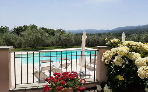 Villa Gaville: Blume, Pflanze, Himmel, Wasser, Blumentopf, Zimmerpflanze, Baum, Landschaft, Grundeigentum, Rechteck