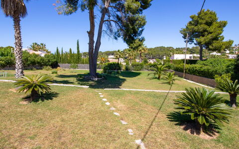Cala Vista: Pflanze, Himmel, Eigentum, Pflanzengemeinschaft, Baum, Natürliche Landschaft, Vegetation, Grundstueck, Schatten, Arecales