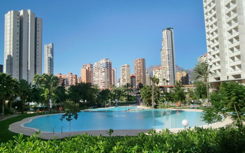 Benidorm 700: Wasser, Himmel, Gebäude, Wolkenkratzer, Pflanze, Daytime, Eigentum, Schwimmbad, Baum, Azurblau