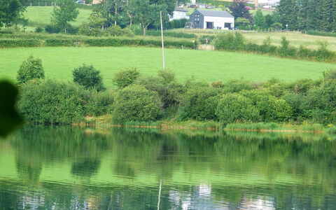 Butgenbach Nidrum 200: Wasser, Pflanze, Wasservorräte, Grün, Natürliche Landschaft, Gebäude, Baum, Grundstueck, Vegetation, See