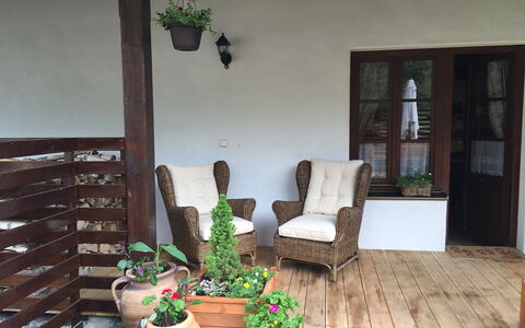 Huty: Pflanze, Eigentum, Gebäude, Blumentopf, Zimmerpflanze, Holz, Interior Design, Beleuchtung, Wohnzimmer, Haus