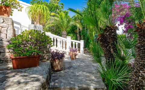Karima: Strauch, Garten, Blumentopf, Landscaping, Resort, Zimmerpflanze, Schatten, Hazienda