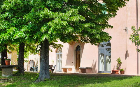 Barberino Valdelsa 155: Pflanze, Gebäude, Fenster, Blatt, Baum, Haus, Schatten, Gras, Kofferraum, Fassade