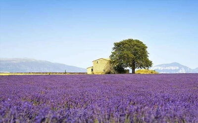 Provence Ferienunterkünfte